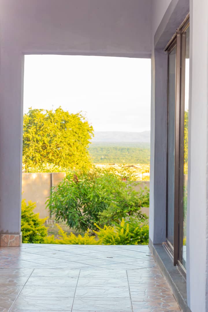 sunshine-guest-house-binga-greenery (4)