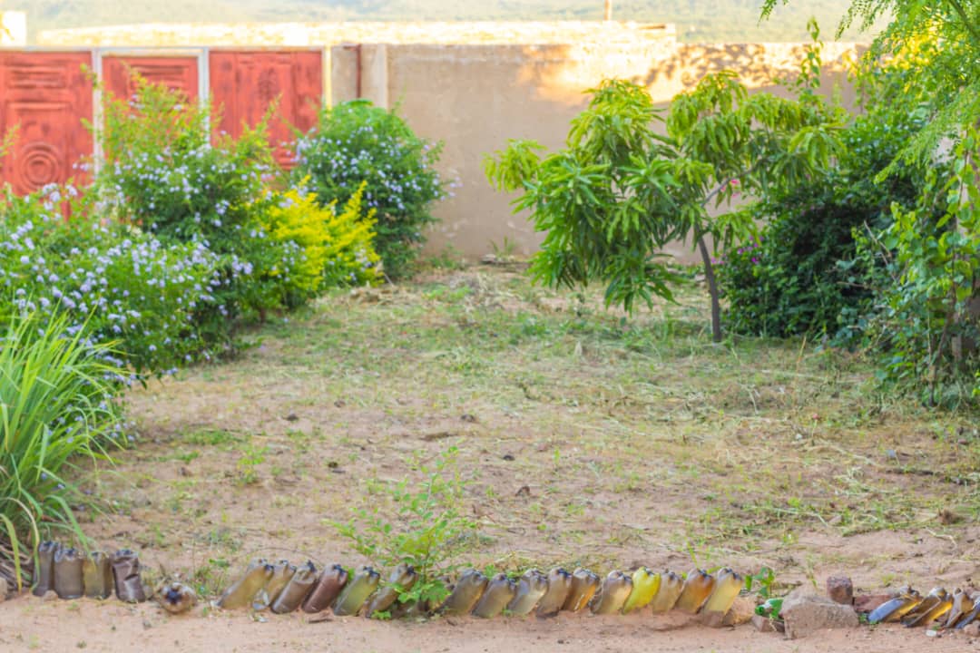 sunshine-guest-house-binga-greenery (6)