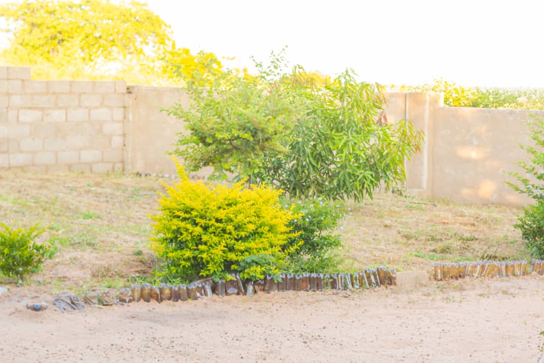 sunshine-guest-house-binga-greenery (7)