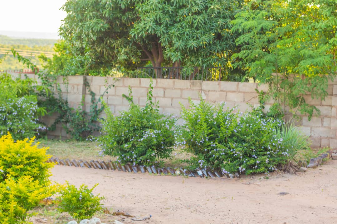 sunshine-guest-house-binga-greenery (9)